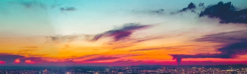 商洛茶虫网_商洛品茶